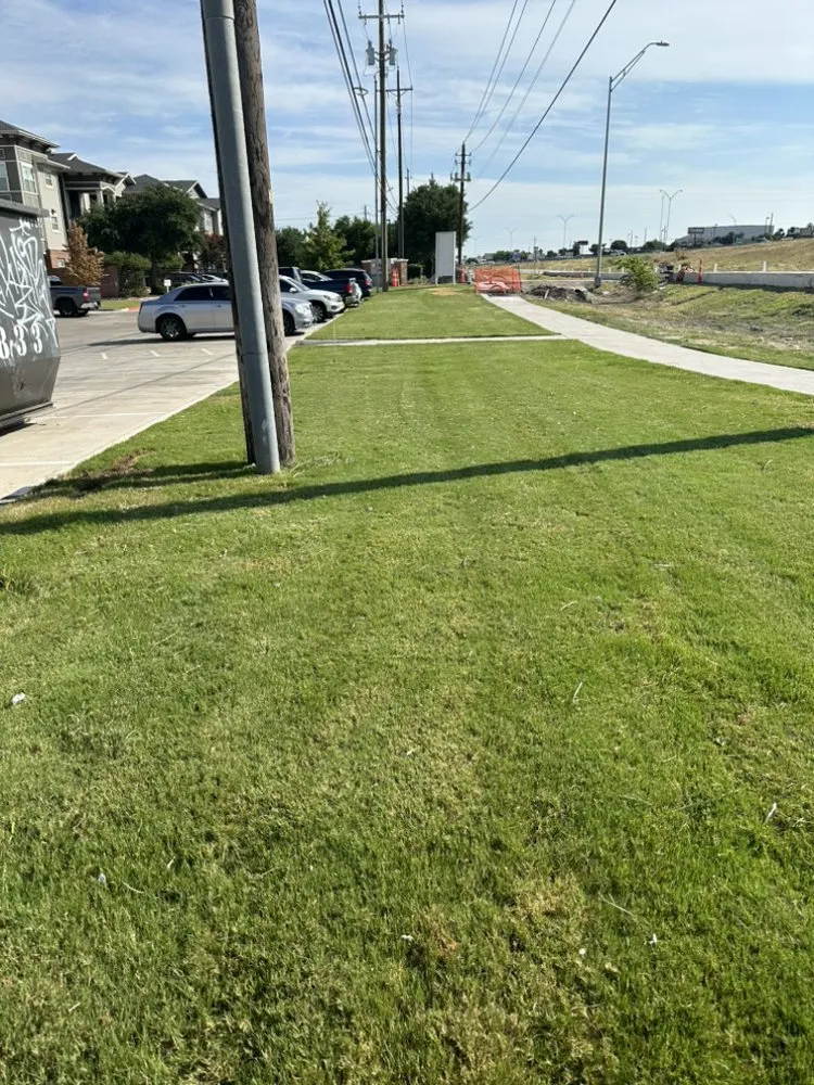 Custom yard maintenance for residential properties in Pflugerville, TX by Fabians Lawn Service