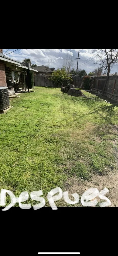 Expert garden landscaping near you across Shafter, CA - Fabián Landenscaping