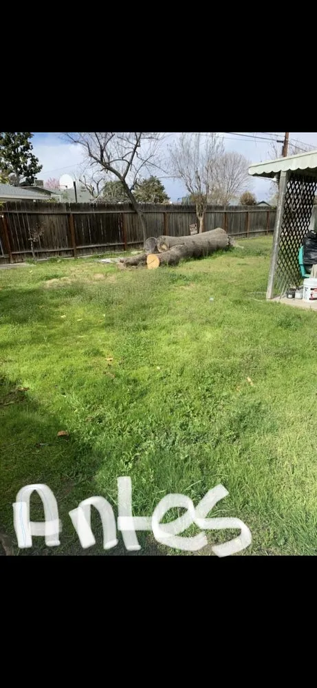 Reliable landscape design in Shafter, CA by Fabián Landenscaping