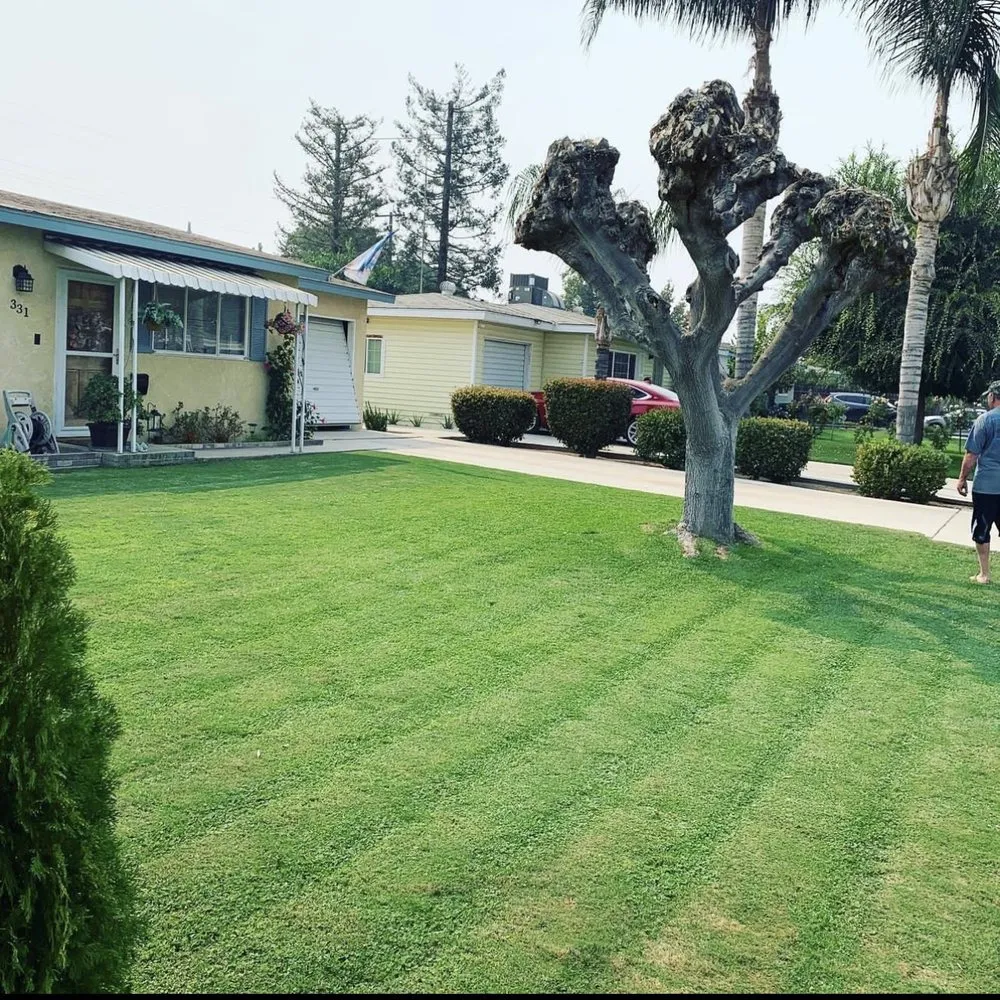 Reliable lawn care service for beautiful yards in Shafter, CA by Fabián Landenscaping