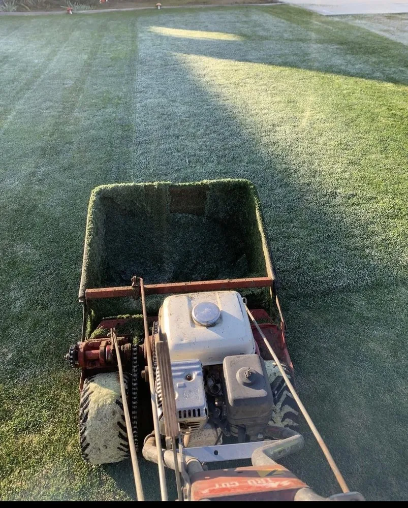 Trusted outdoor landscaping in Shafter, CA - Fabián Landenscaping