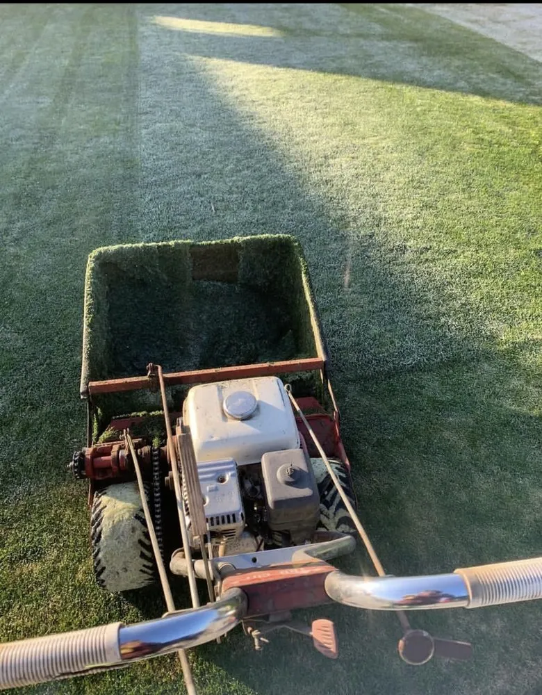 Expert lawn care service in Shafter, CA by Fabián Landenscaping