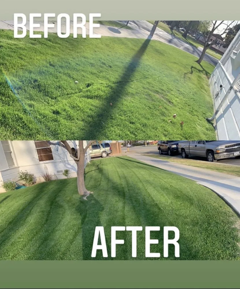 Custom landscape design near you across Shafter, CA - Fabián Landenscaping