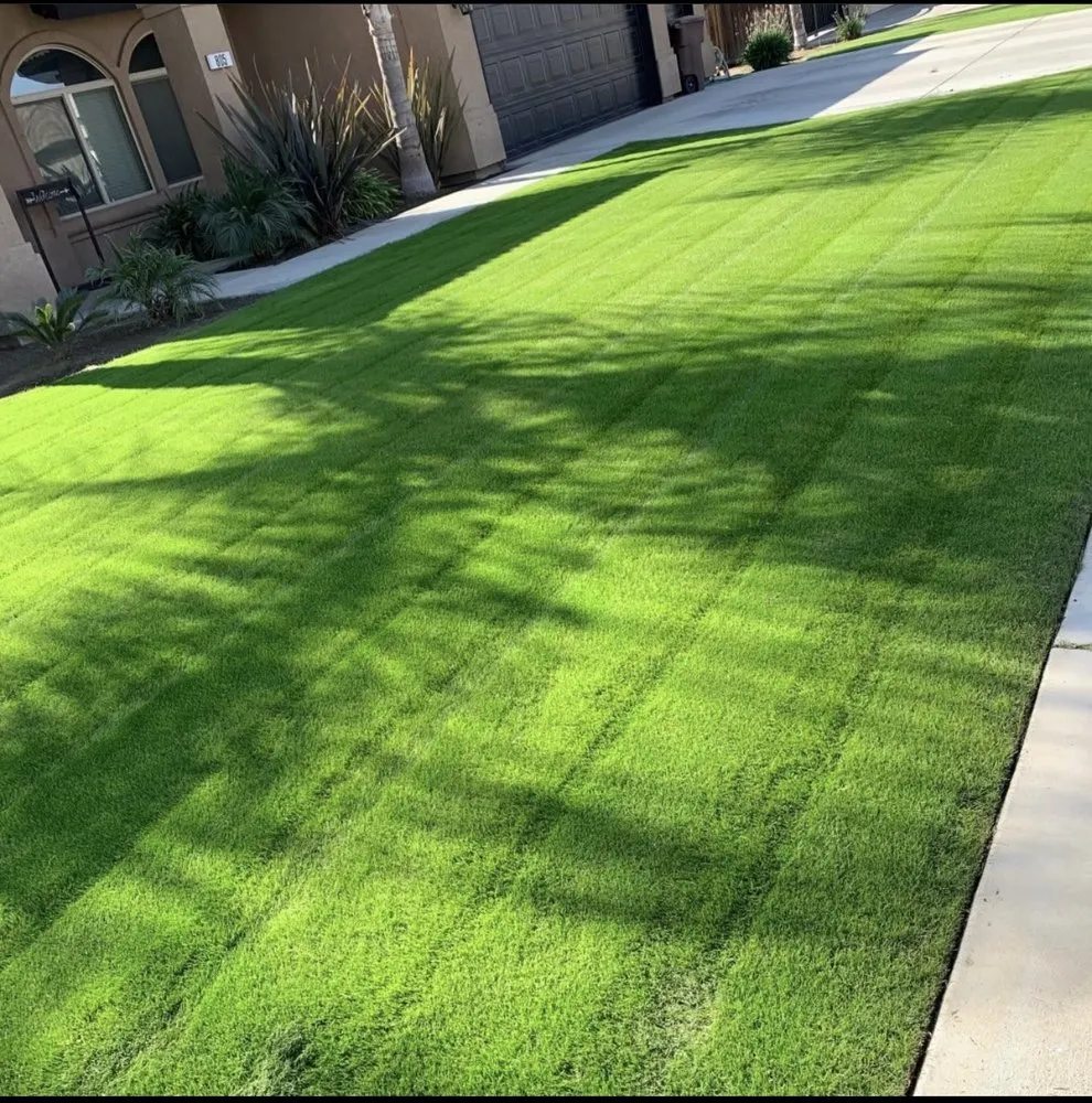 Custom lawn care service for year-round maintenance across Shafter, CA - Fabián Landenscaping