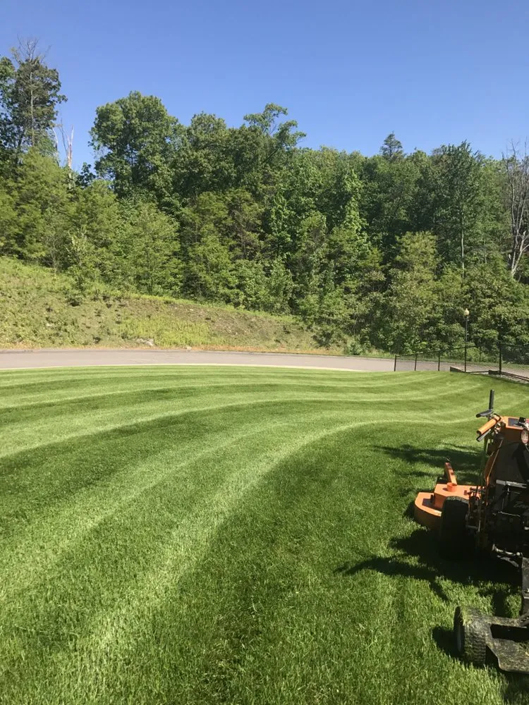 Custom yard cleanup service experts serving Worcester, MA - Fabio & Sons Landscaping