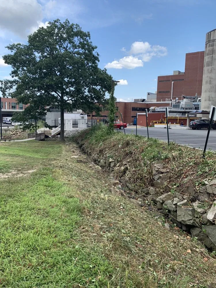 Affordable lawn care service in Worcester, MA by Fabio & Sons Landscaping