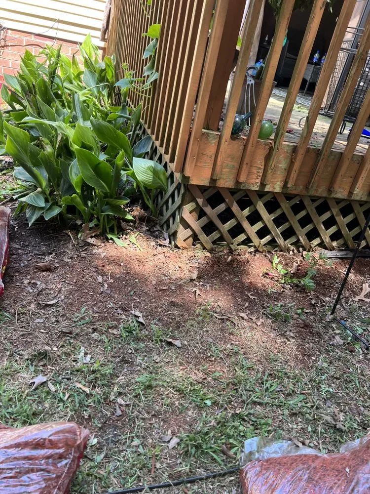 Professional yard cleanup service in Sanford, NC - Fabios Landscaping & Construction