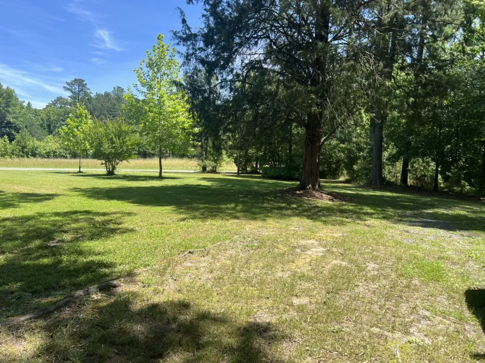 Affordable landscaping services in Sanford, NC - Fabios Landscaping & Construction