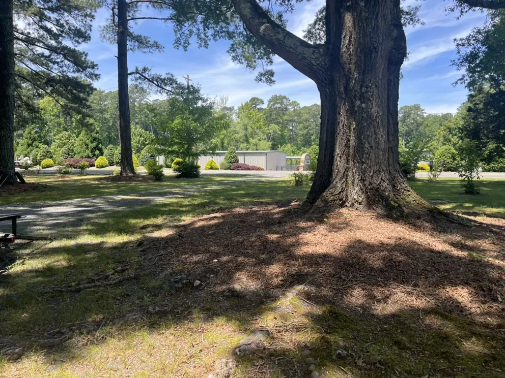 Affordable outdoor landscaping for homes in Sanford, NC by Fabios Landscaping & Construction