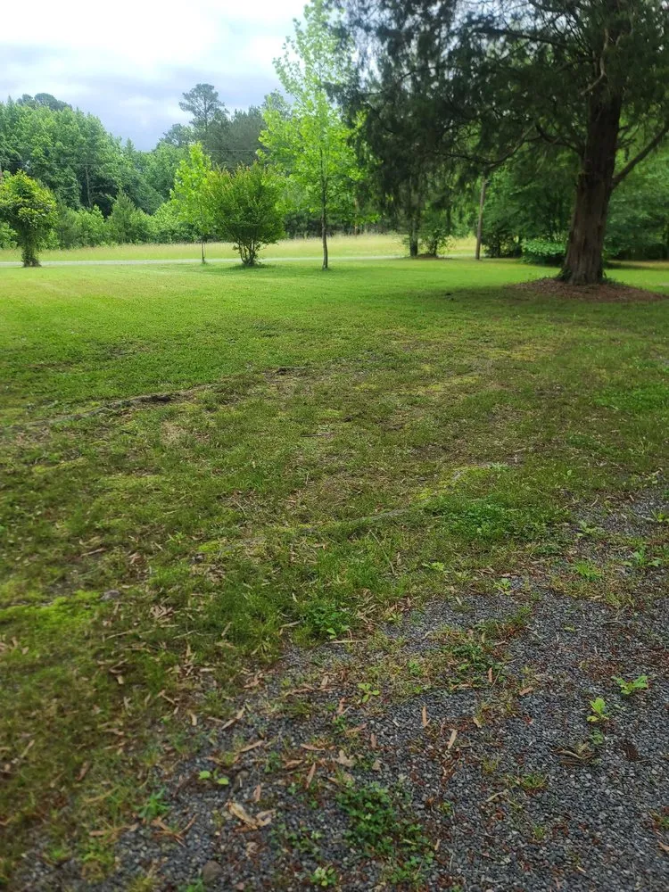 Professional lawn care service in Sanford, NC - Fabios Landscaping & Construction