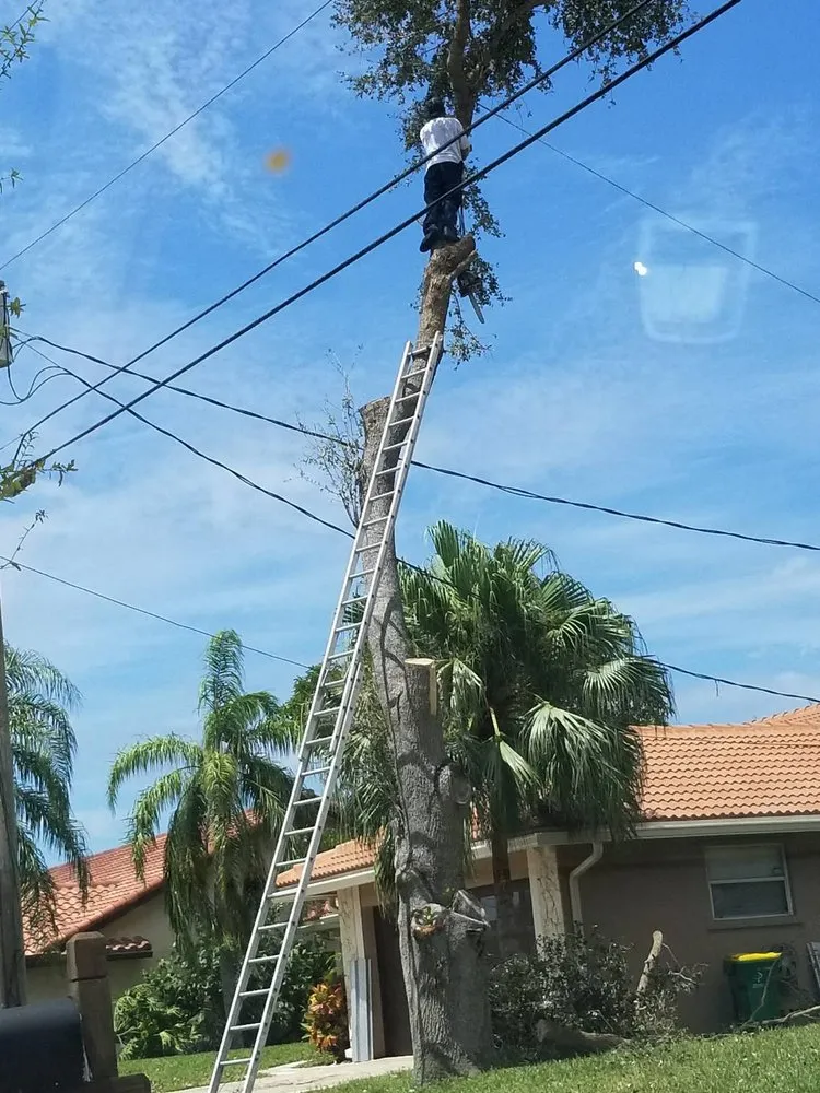 Affordable residential landscaping in Fort Lauderdale, FL - Facen Landscaping Lawn & Trash Hauling Service