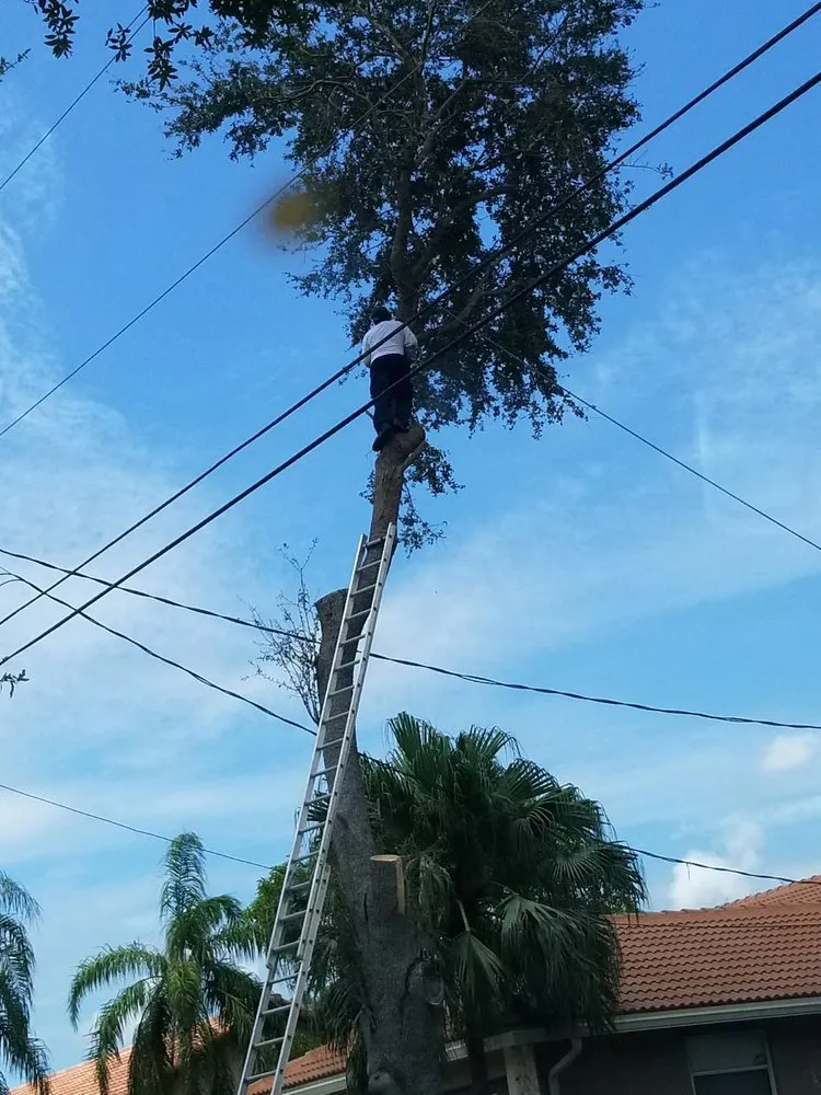 Affordable outdoor landscaping experts serving Fort Lauderdale, FL - Facen Landscaping Lawn & Trash Hauling Service