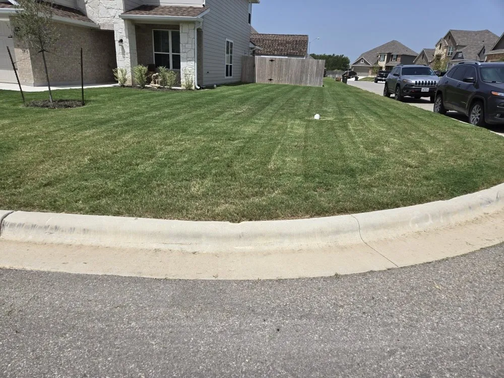 Top-rated yard cleanup service with custom design across Temple, TX - Fach Lawn Care
