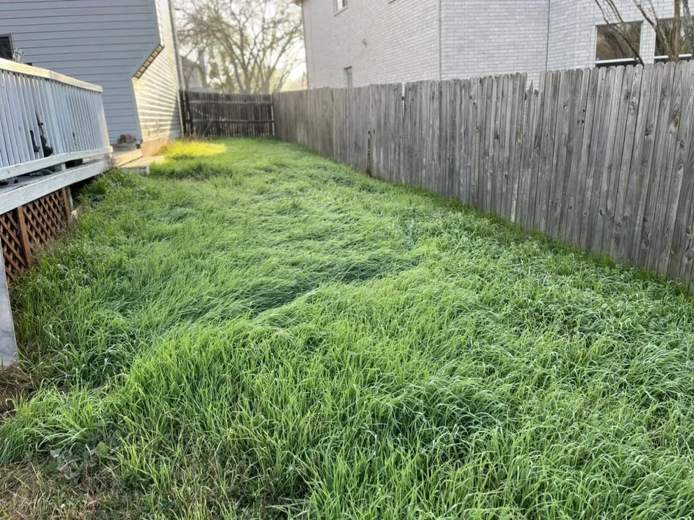 Reliable yard maintenance for residential properties across Schertz, TX - Facility Operation and Maintenance