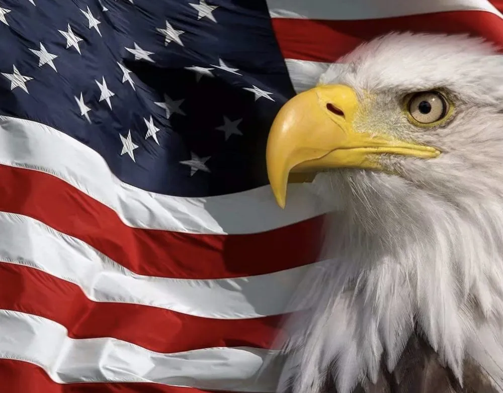 Expert yard cleanup service experts serving Schertz, TX - Facility Operation and Maintenance