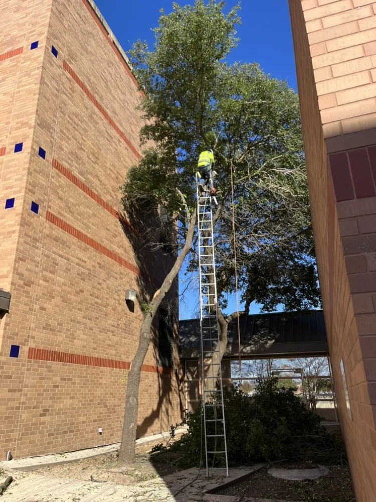 Top-rated lawn mowing service experts serving Schertz, TX - Facility Operation and Maintenance