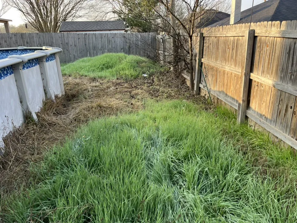 Affordable lawn mowing service for homes across Schertz, TX - Facility Operation and Maintenance