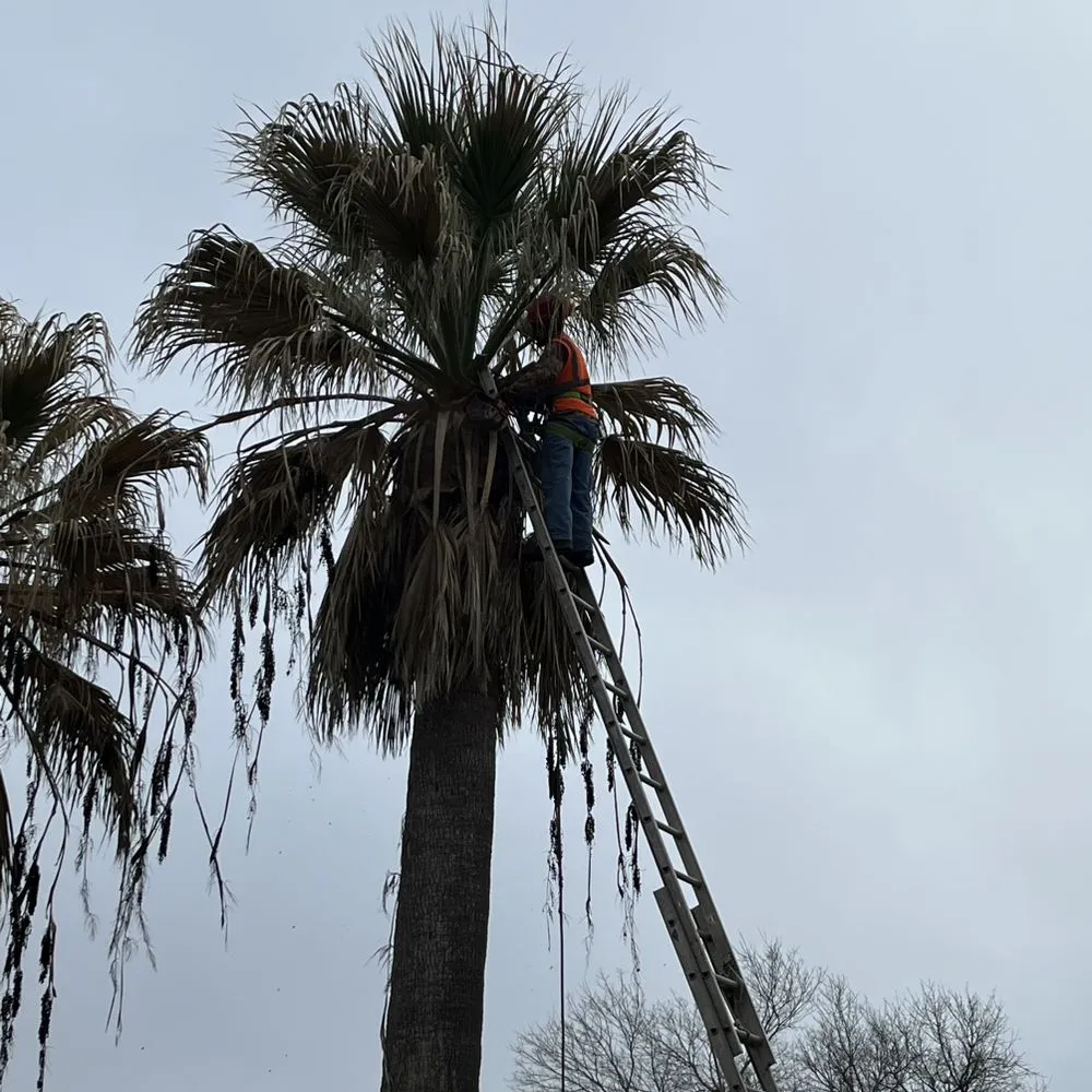 Expert landscape design in Schertz, TX - Facility Operation and Maintenance