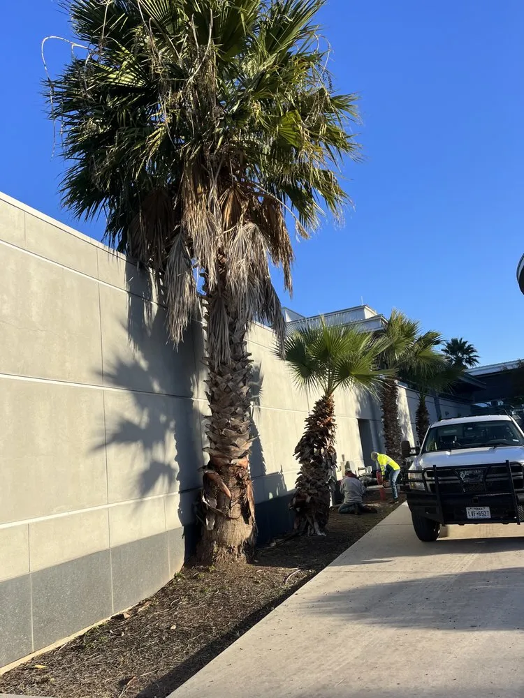 Affordable yard maintenance for residential properties in Schertz, TX by Facility Operation and Maintenance