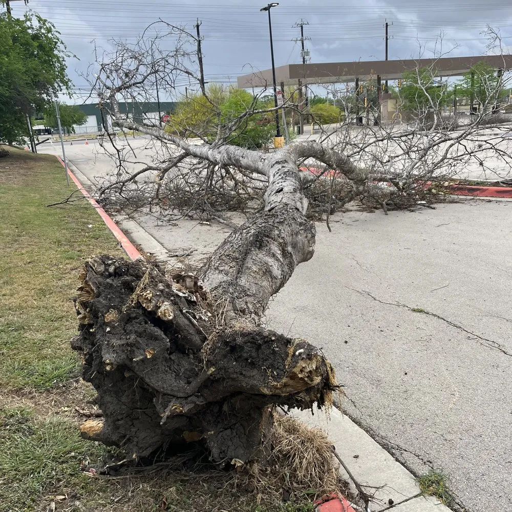 Custom landscape design for beautiful yards in Schertz, TX by Facility Operation and Maintenance