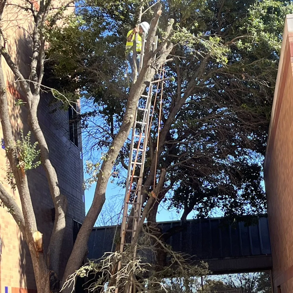 Custom lawn care service for outdoor upgrades in Schertz, TX by Facility Operation and Maintenance