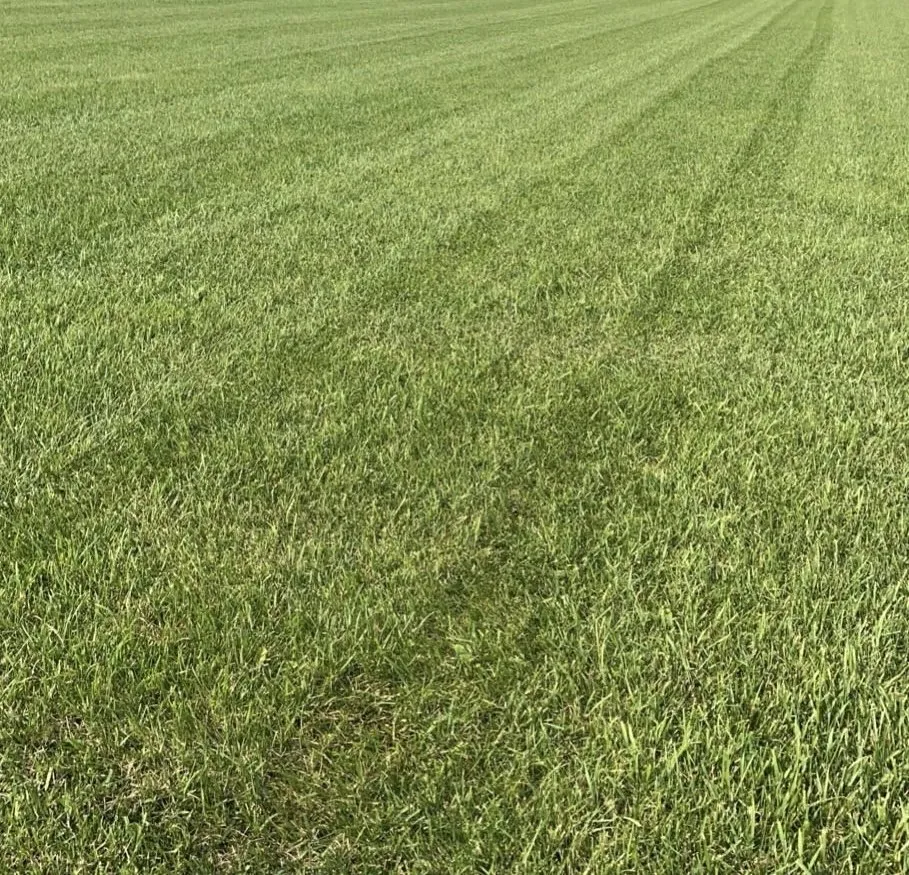 Local yard cleanup service for outdoor upgrades across Stryker, OH - Fade Lawn Care