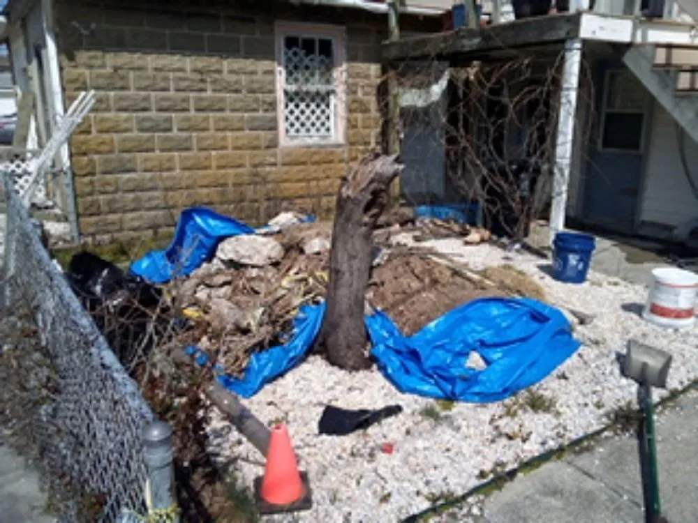 Custom yard cleanup service near you across Atlantic City, NJ - FAD'S Cleanout