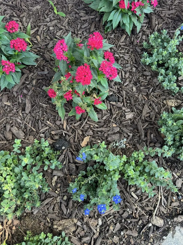 Local yard maintenance for homes across Orlando, FL - Fagan Landscaping