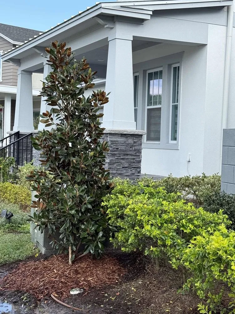 Trusted lawn mowing service for residential properties in Orlando, FL by Fagan Landscaping