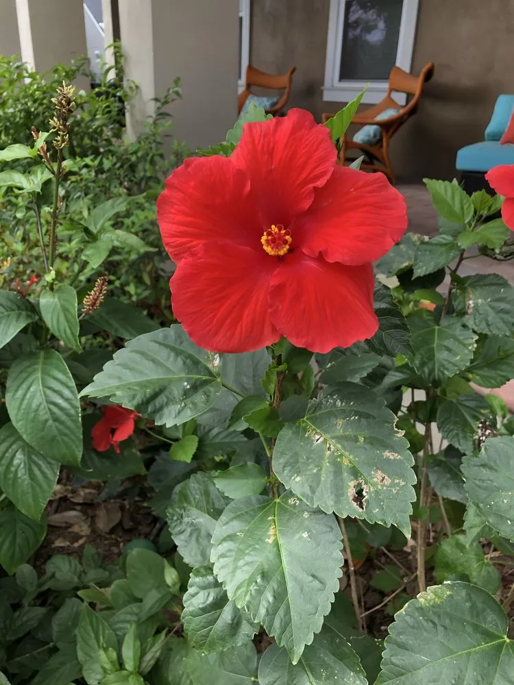 Top-rated lawn mowing service experts serving Orlando, FL - Fagan Landscaping