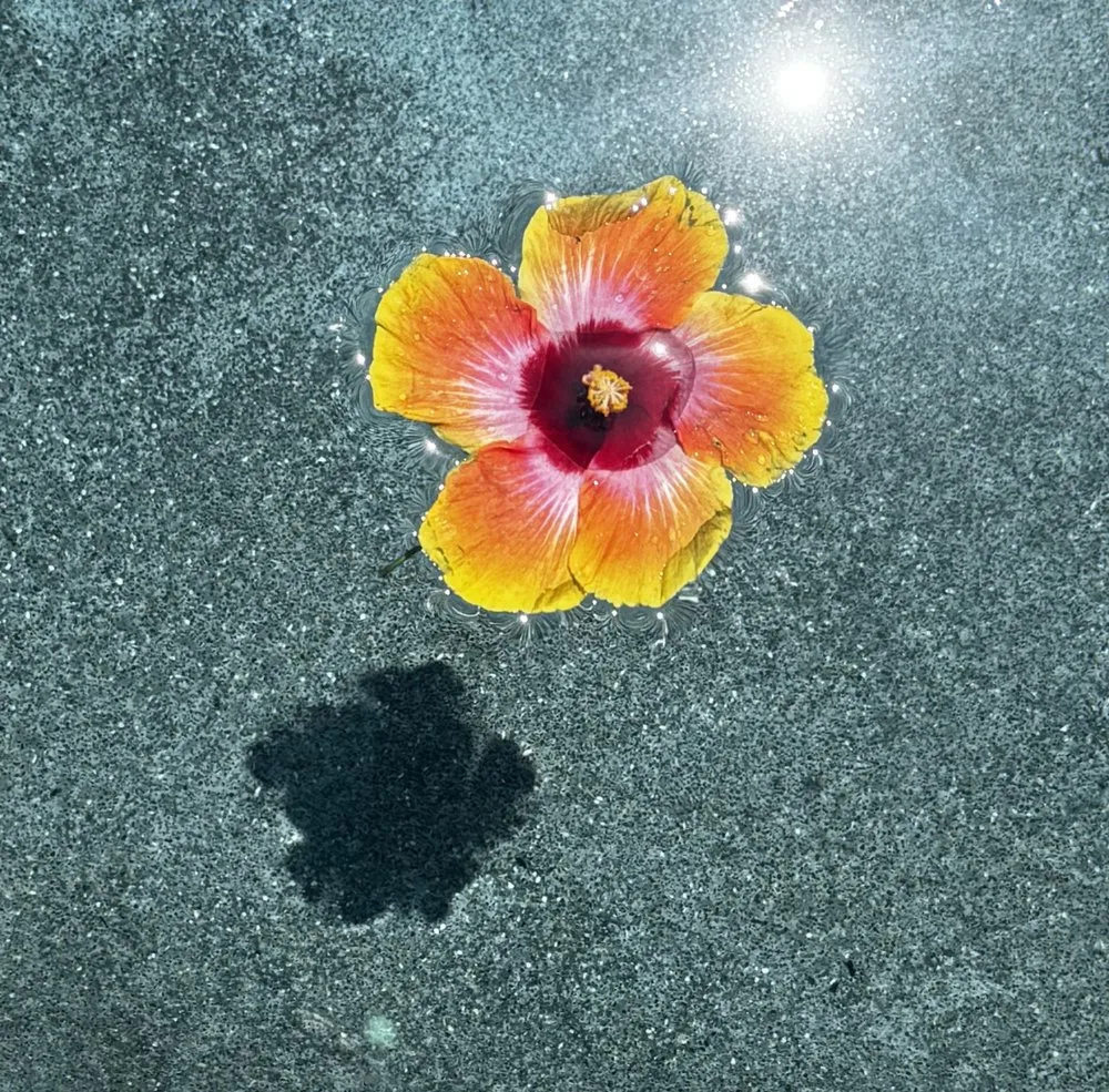 Affordable residential landscaping in Orlando, FL by Fagan Landscaping