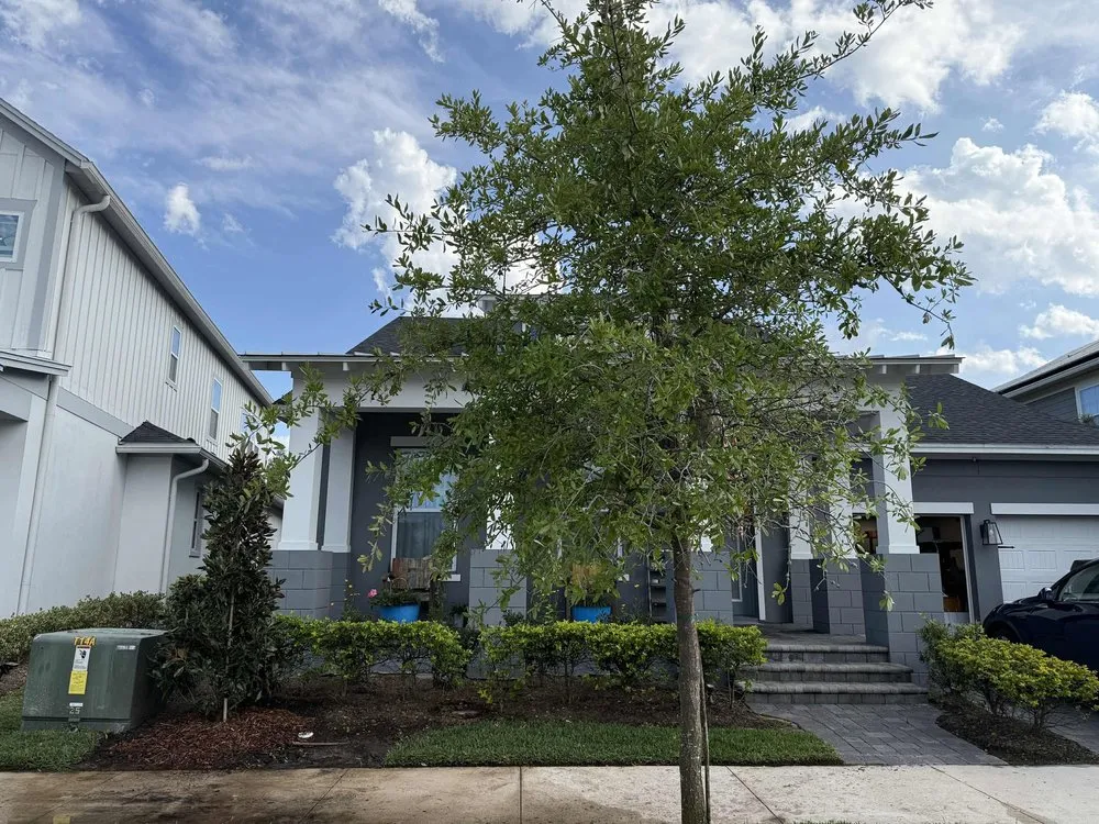 Top-rated outdoor landscaping with custom design in Orlando, FL by Fagan Landscaping