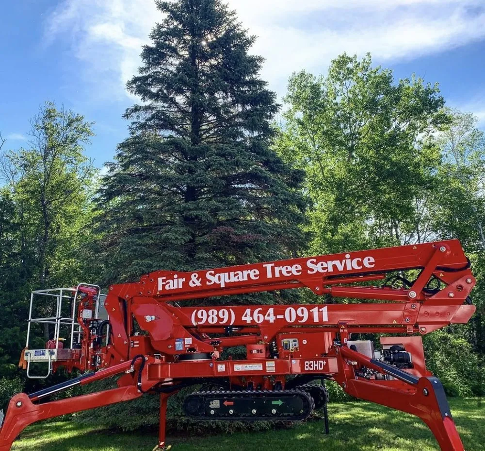 Professional landscape installation in Alpena, MI - Fair & Square Lawn Care And Tree Service