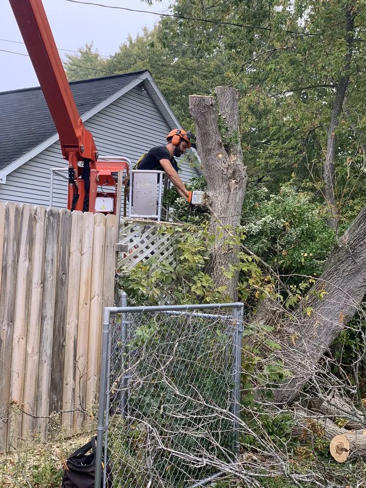 Custom lawn mowing service for homes in Alpena, MI by Fair & Square Lawn Care And Tree Service