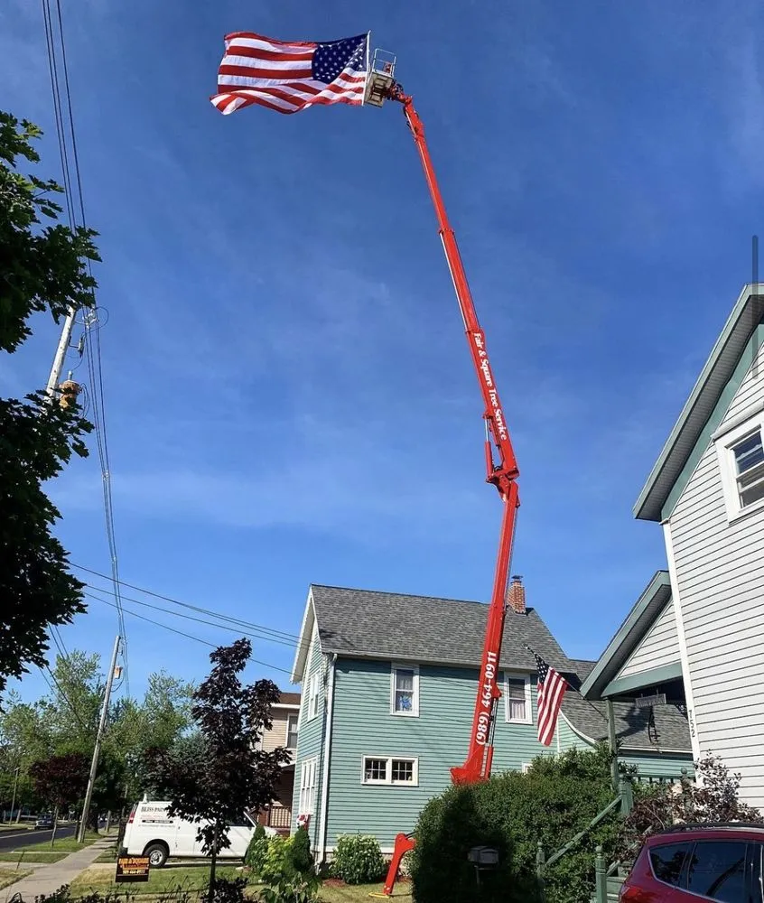 Custom yard cleanup service in Alpena, MI by Fair & Square Lawn Care And Tree Service