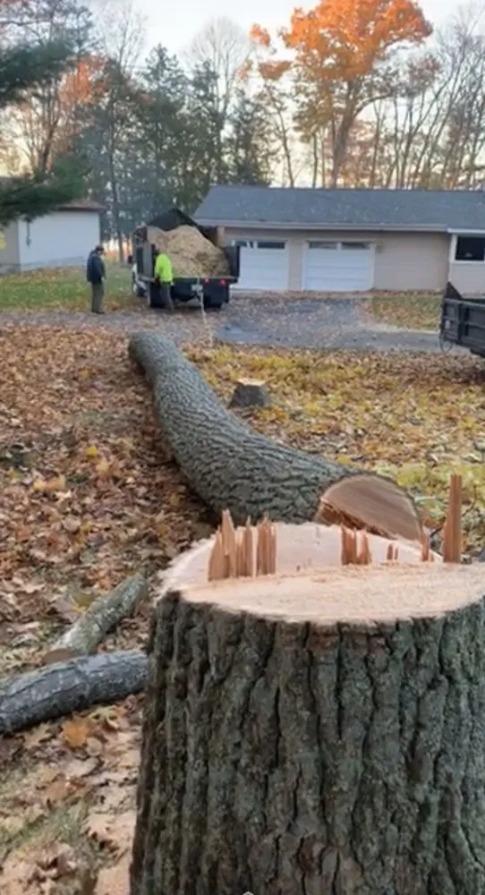 Affordable residential landscaping near you across Alpena, MI - Fair & Square Lawn Care And Tree Service