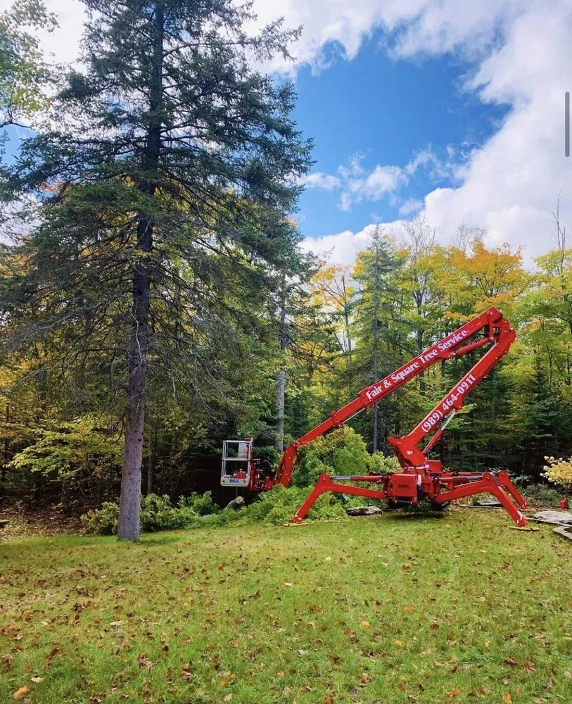 Trusted landscaping services for beautiful yards in Alpena, MI by Fair & Square Lawn Care And Tree Service