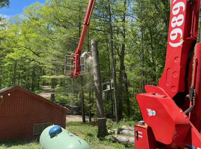 Trusted landscape design in Alpena, MI - Fair & Square Lawn Care And Tree Service