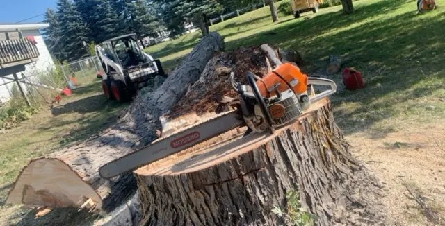 Expert lawn mowing service for outdoor upgrades in Alpena, MI by Fair & Square Lawn Care And Tree Service