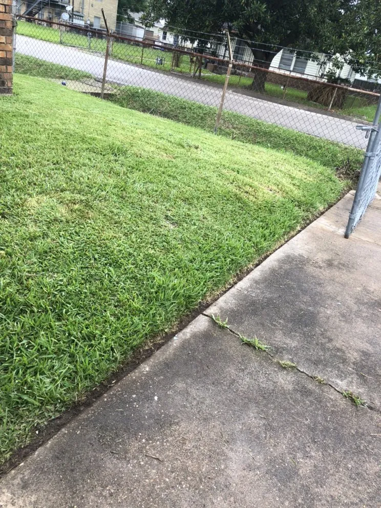 Affordable lawn mowing service in Houston, TX by Fair and Square Lawn Care