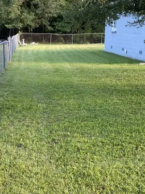 Fair Kare Cuts & Trims