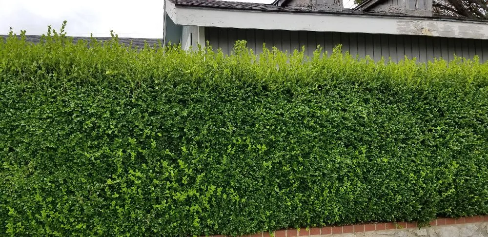 Trusted outdoor landscaping experts serving Muskogee, OK - Fair Lawn Care Solutions