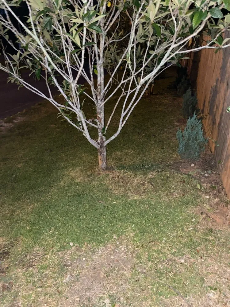 Local landscape installation for residential properties across DeRidder, LA - Fair Lawn Service