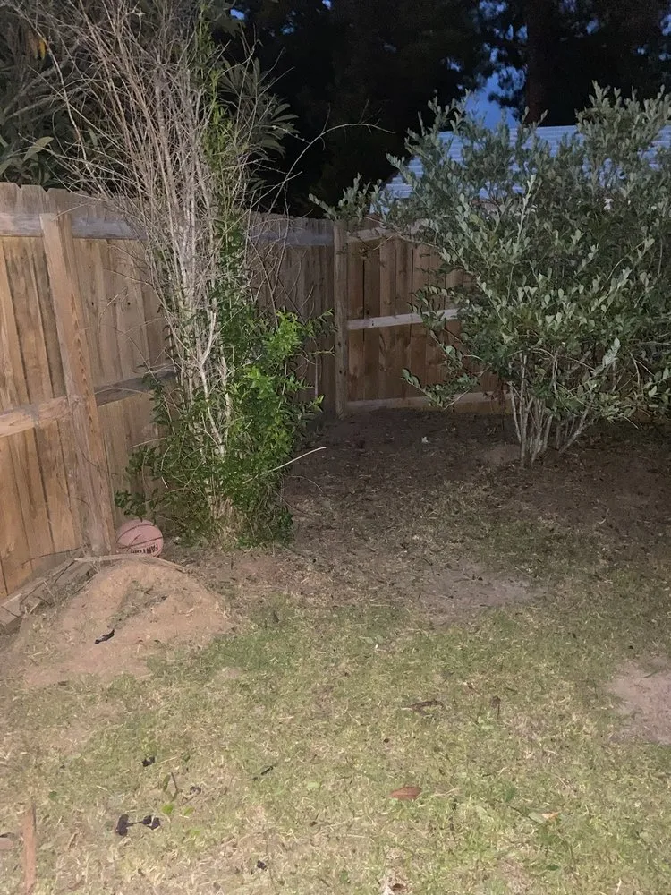 Affordable lawn care service in DeRidder, LA - Fair Lawn Service