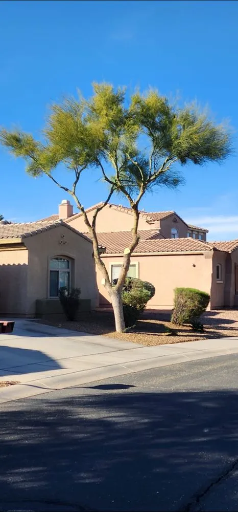 Professional landscaping services experts serving Tucson, AZ - Fair Price Landscaping