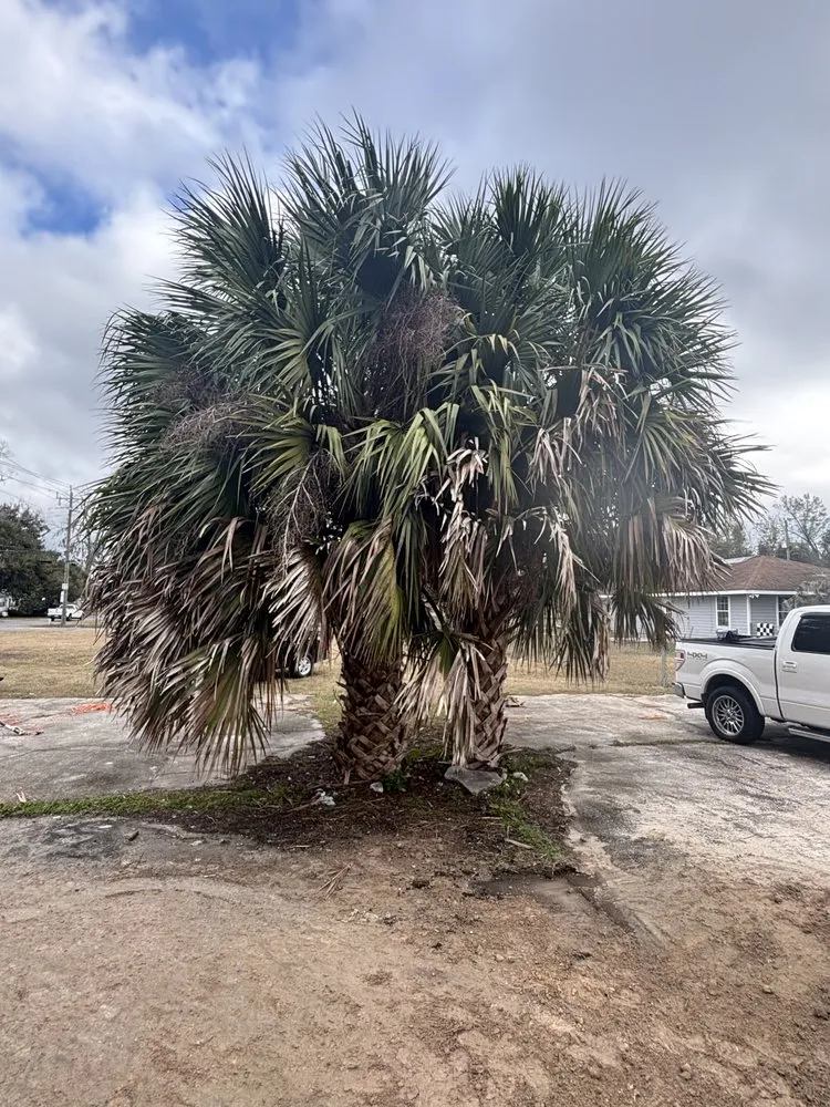 Affordable residential landscaping experts serving Ocala, FL - Fair Rate Landscape & Cleaning solution