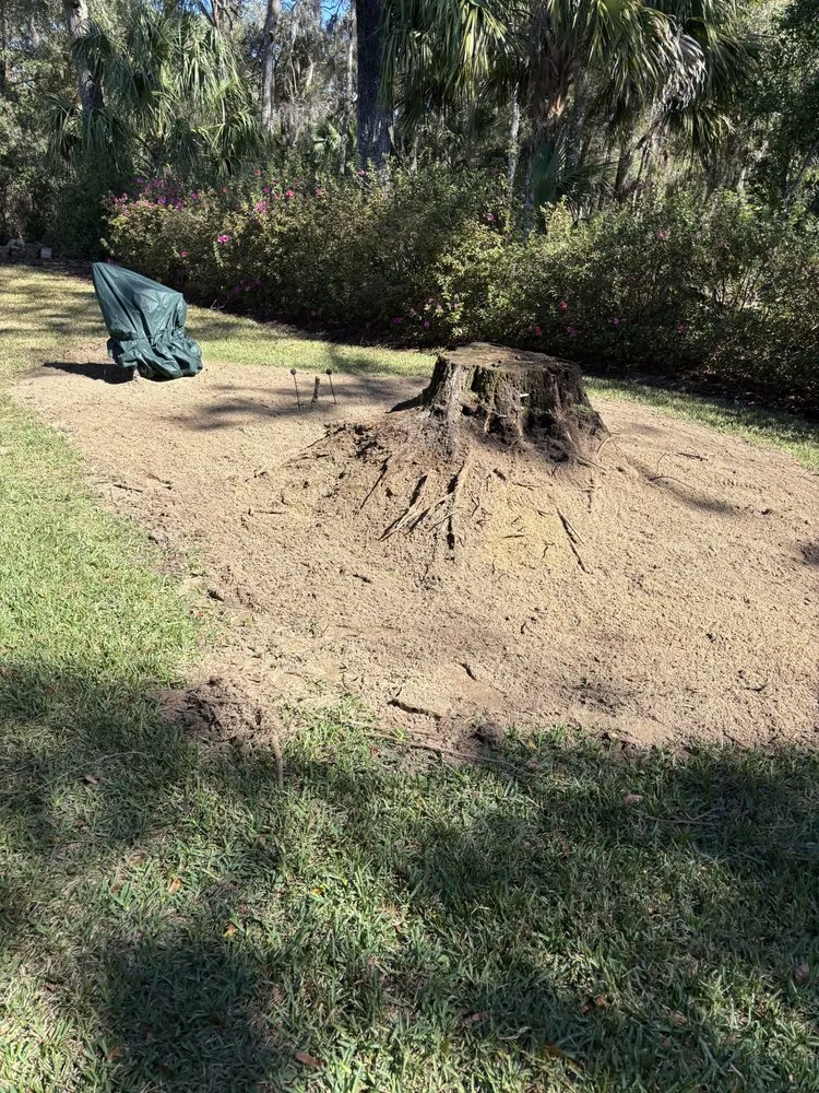 Expert lawn care service for residential properties in Ocala, FL by Fair Rate Landscape & Cleaning solution