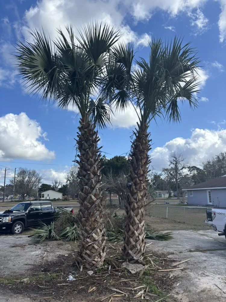 Professional yard cleanup service in Ocala, FL - Fair Rate Landscape & Cleaning solution