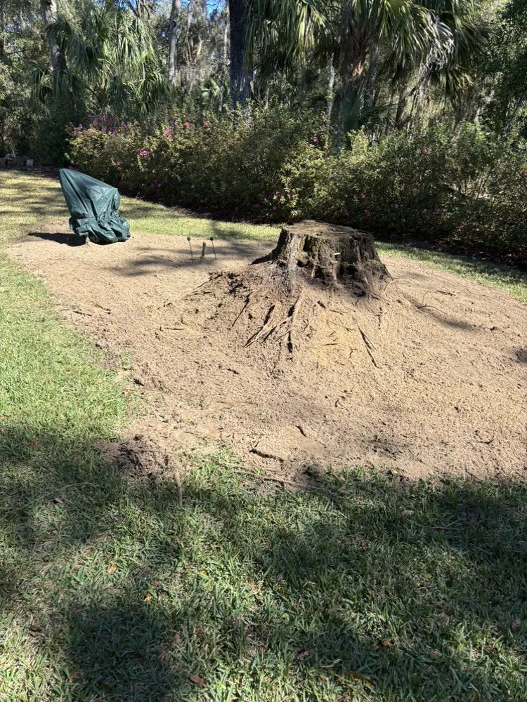 Affordable outdoor landscaping in Ocala, FL - Fair Rate Landscape & Cleaning solution