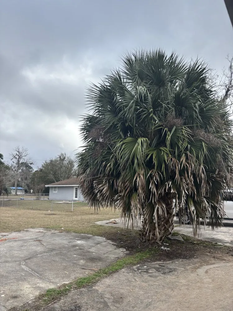 Top-rated lawn care service in Ocala, FL - Fair Rate Landscape & Cleaning solution